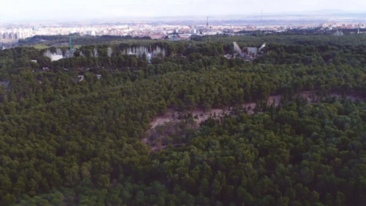 Monte de Torrero ./ Ayuntamiento de Zaragoza