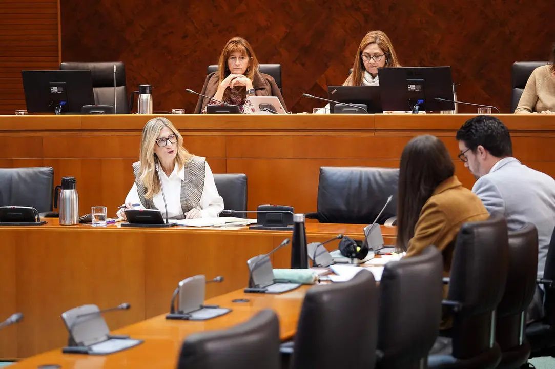 La vicepresidenta del Gobierno aragon&eacute;s, Mar Vaquero, en La Aljafer&iacute;a./ Cortes de Arag&oacute;n