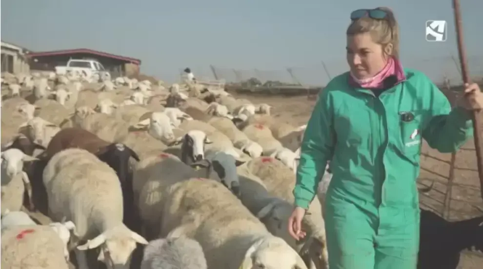 Imagen de El campo es nuestro. / ARAG&Oacute;N TV