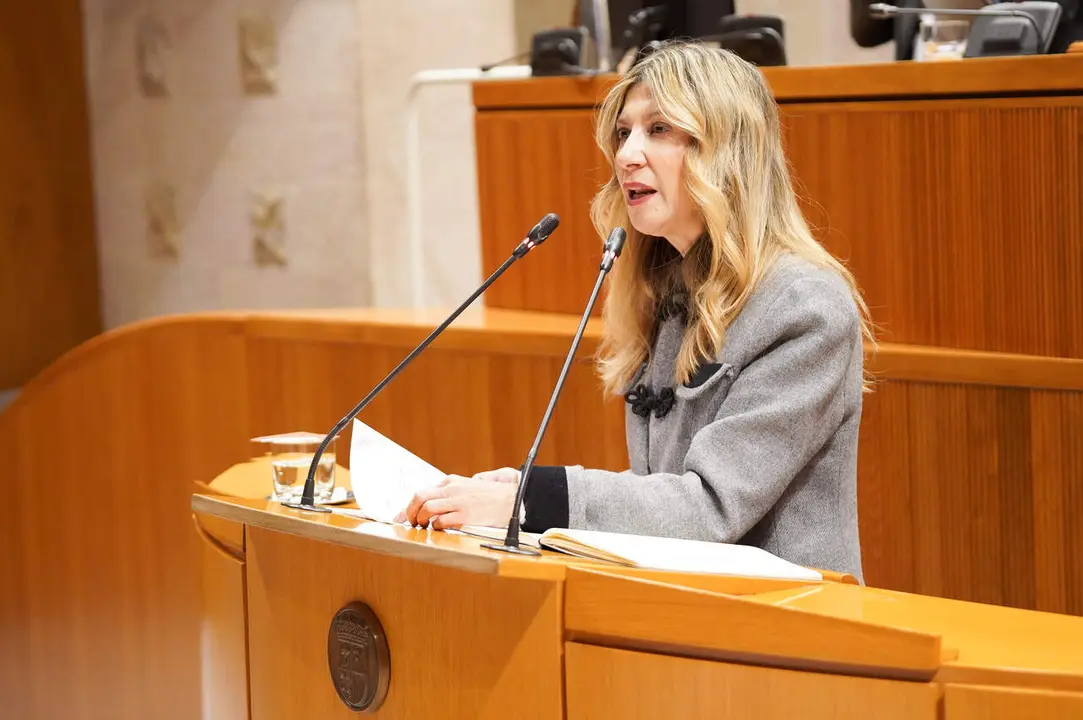 La vicepresidenta del Gobierno de Arag&oacute;n, Mar Vaquero, en las Cortes./ Cortes de Arag&oacute;n