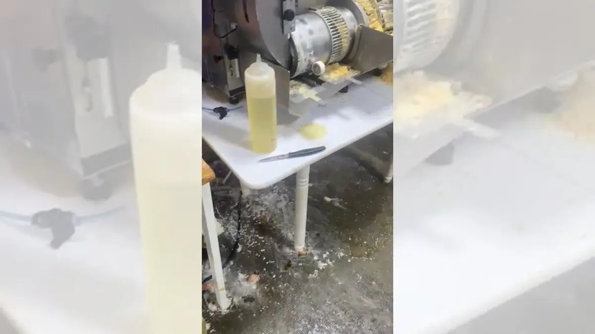 Local clausurado en Zaragoza por la Polic&iacute;a Nacional por no reunir las condiciones higi&eacute;nicos sanitarias para la manipulaci&oacute;n de alimentos.
- POLIC&Iacute;A NACIONAL