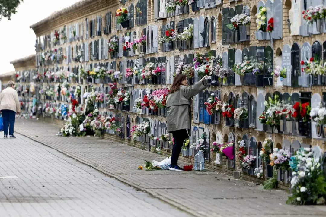 Cementerio de Torrero :/ EFE Noticias