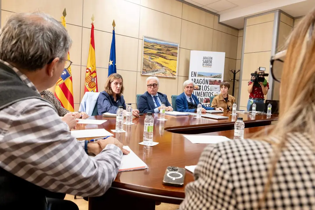 El consejero de Agricultura, Javier Rinc&oacute;n, en la reuni&oacute;n./ DGA
