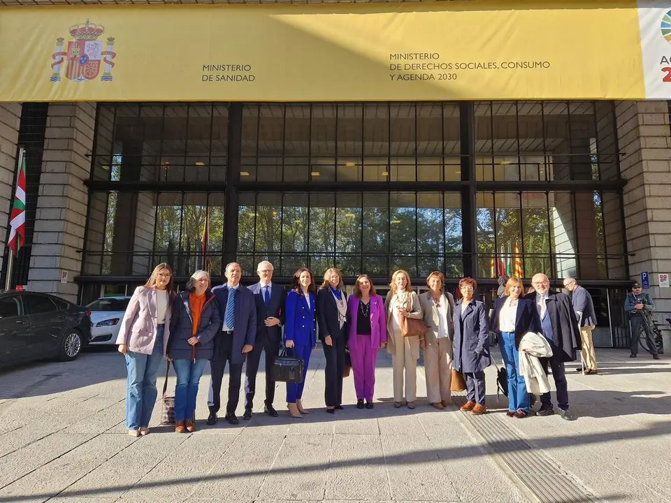 El consejero de Sanidad del Gobierno de Arag&oacute;n, Jos&eacute; Luis Bancalero Flores, ha participado en el Consejo Interterritorial del Sistema Nacional de Salud. / DGA