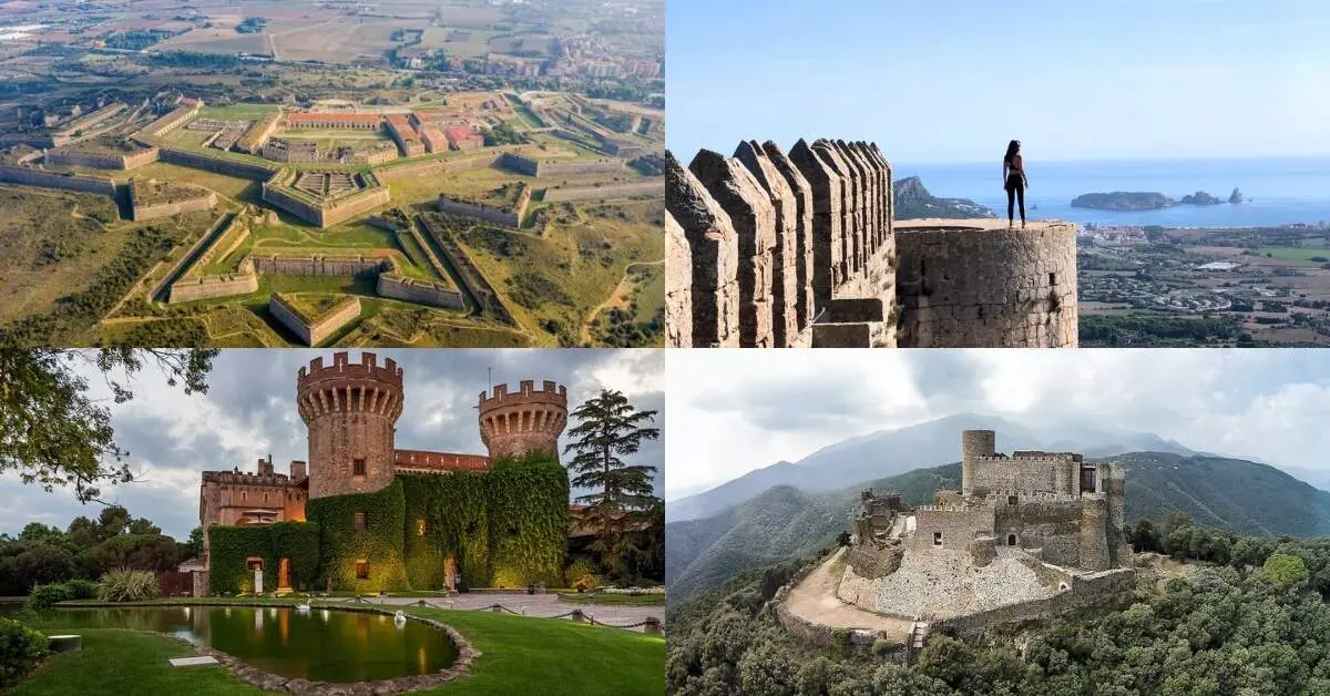 Diseño sin título - 2025-11-18T110332.704