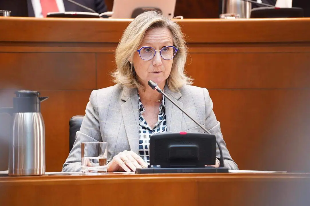La directora gerente del Salud, Ana Castillo.
- CORTES DE ARAG&Oacute;N.