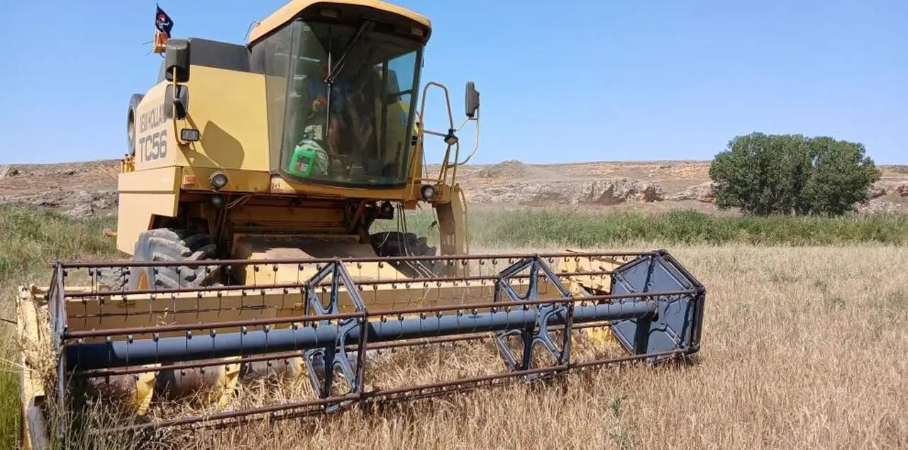 El departamento de Agricultura, Ganader&iacute;a y Alimentaci&oacute;n busca reforzar la liquidez del sector y garantizar un flujo estable de recursos. / EP