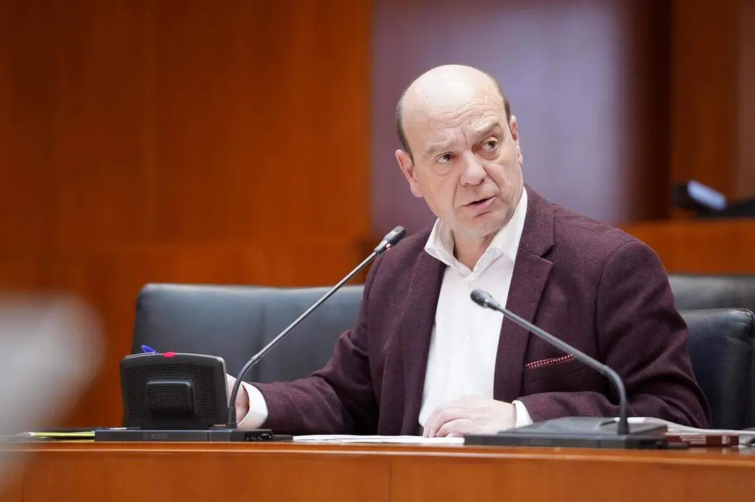 El diputado de Vox, Santiago Mor&oacute;n, en la Comisi&oacute;n de Sanidad de las Cortes de Arag&oacute;n ./ CORTES DE ARAG&Oacute;N