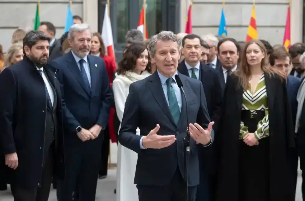 europapress-7151860-presidente-pp-alberto-nunez-feijoo-acto-institucional-dia-constitucion-980x647.jpg