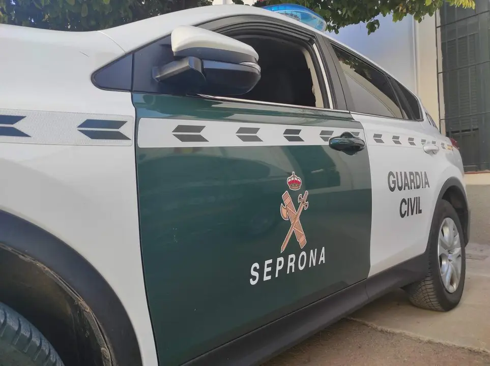 Archivo - Coche del Servicio de Protecci&oacute;n de la Naturaleza (Seprona) de la Guardia Civil. / EP
