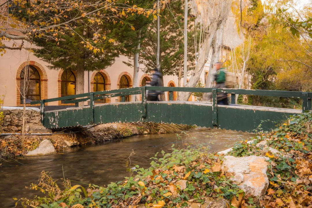 El Balneario de la Virgen, Jaraba