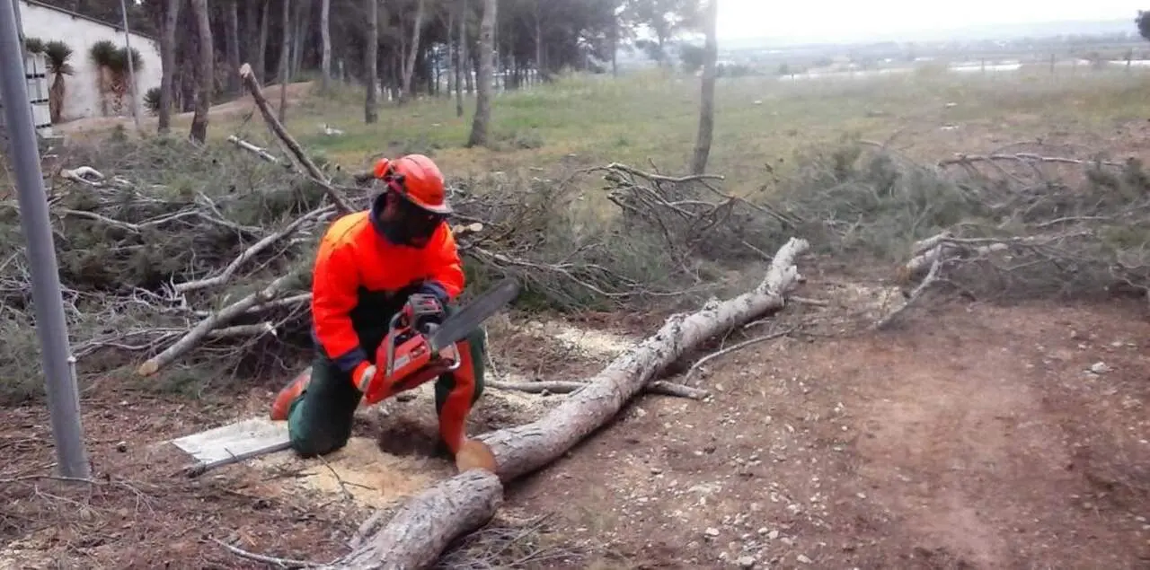 Pr&aacute;cticas de alumnos de gesti&oacute;n forestal. / GOBIERNO DE ARAG&Oacute;N