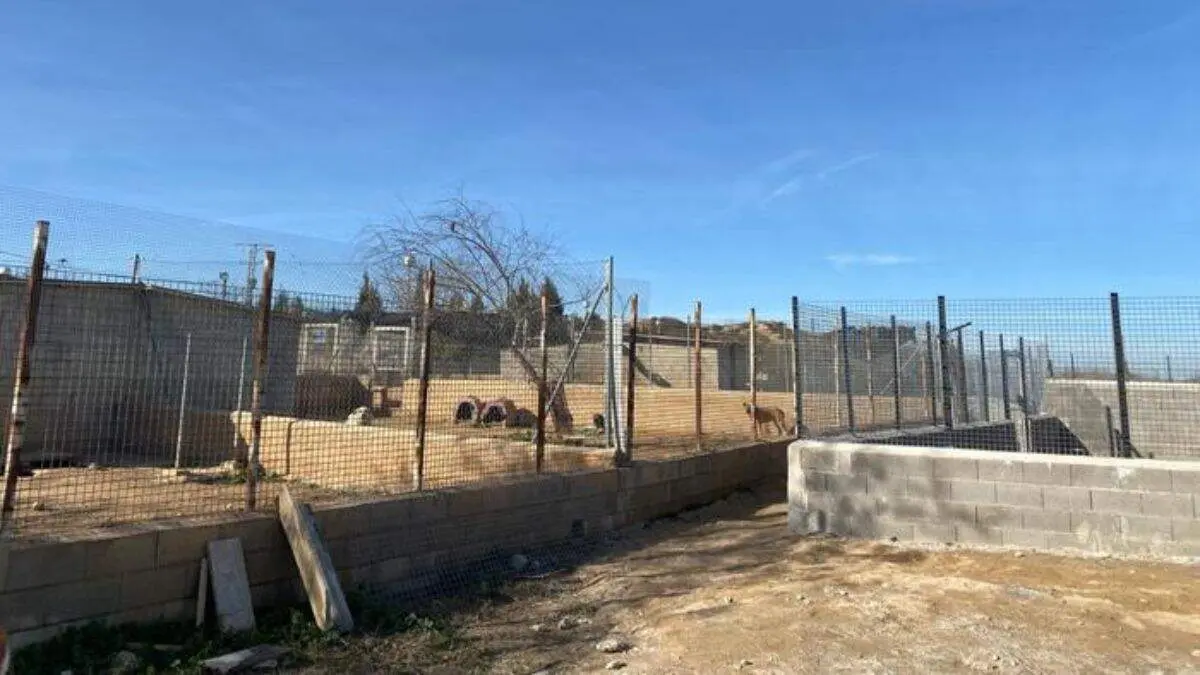 Protectora de animales y plantas de Alca&ntilde;iz. / AYTO. ALCA&Ntilde;IZ