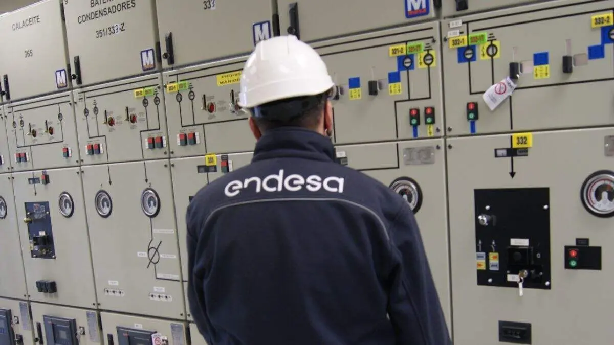 Trabajador de Endesa. / ENDESA