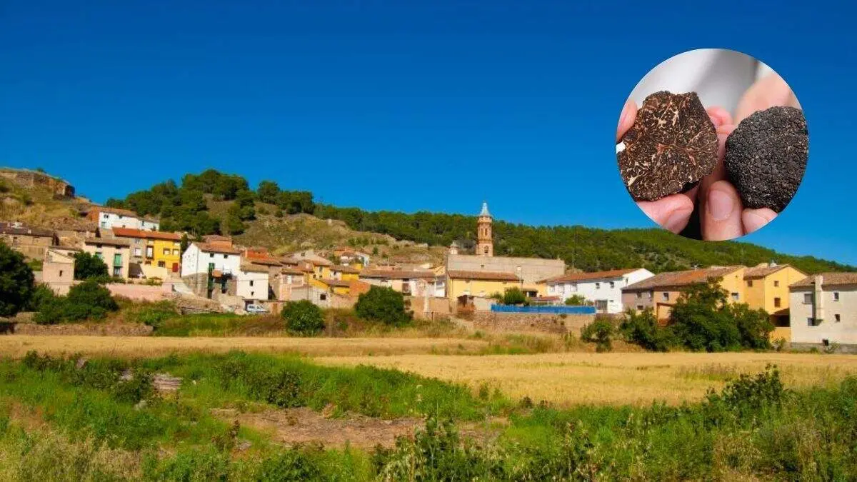 Manchones (Zaragoza) acoge las VIII Jornadas de la Trufa Negra de Arag&oacute;n. / HA