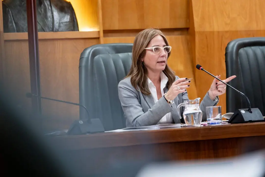 La consejera Blanca Solans. /AZ