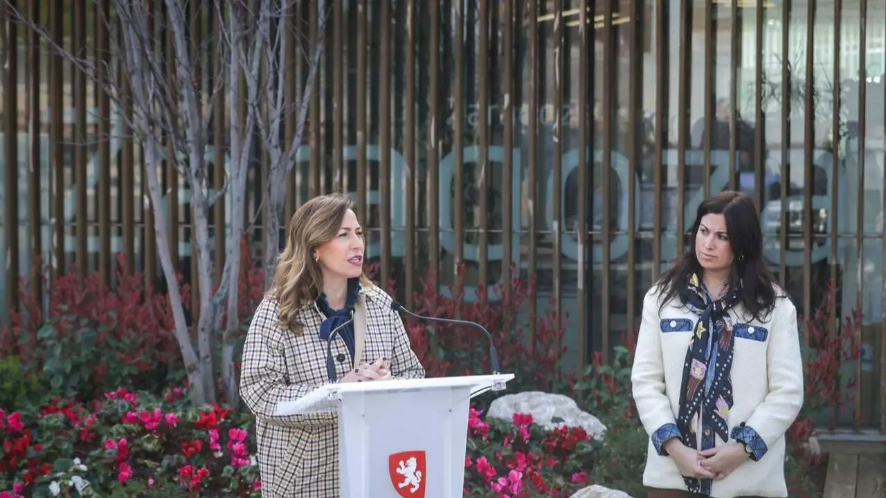 Presentaci&oacute;n de los pr&oacute;ximos pliegos de Parques y Jardines. /AZ