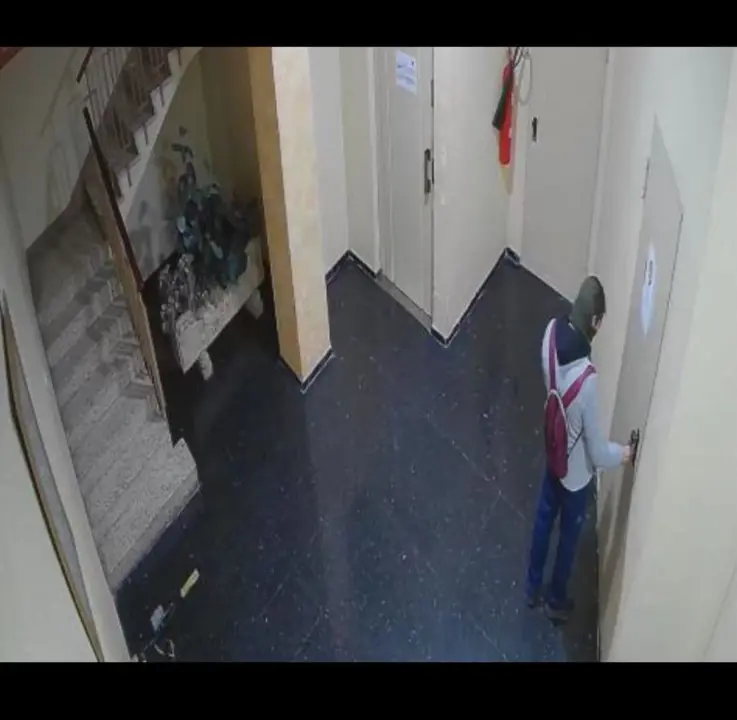 Imagen del var&oacute;n al que se le atribuyen m&aacute;s de una treintena de hechos delictivos en el Arrabal. /Polic&iacute;a Nacional