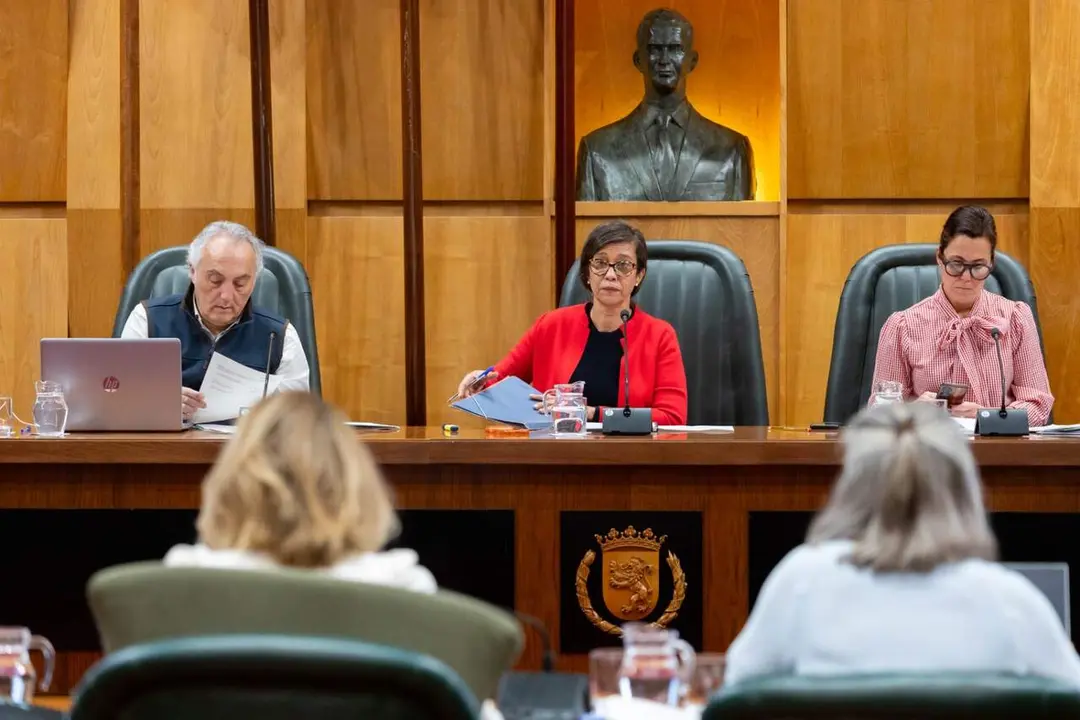 Comisi&oacute;n plenaria del &aacute;rea de Pol&iacute;ticas Sociales. /AZ