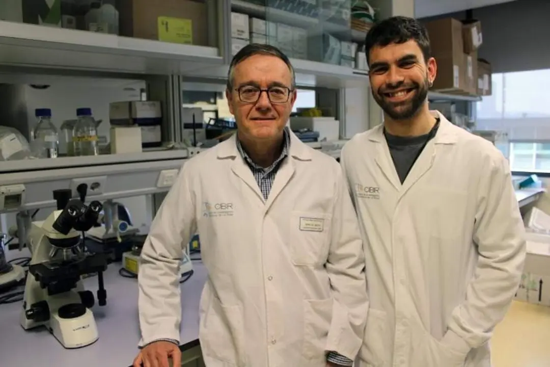 Identifican el mecanismo de acci&oacute;n de una mol&eacute;cula implicada en el desarrollo y tratamiento del c&aacute;ncer. / EP