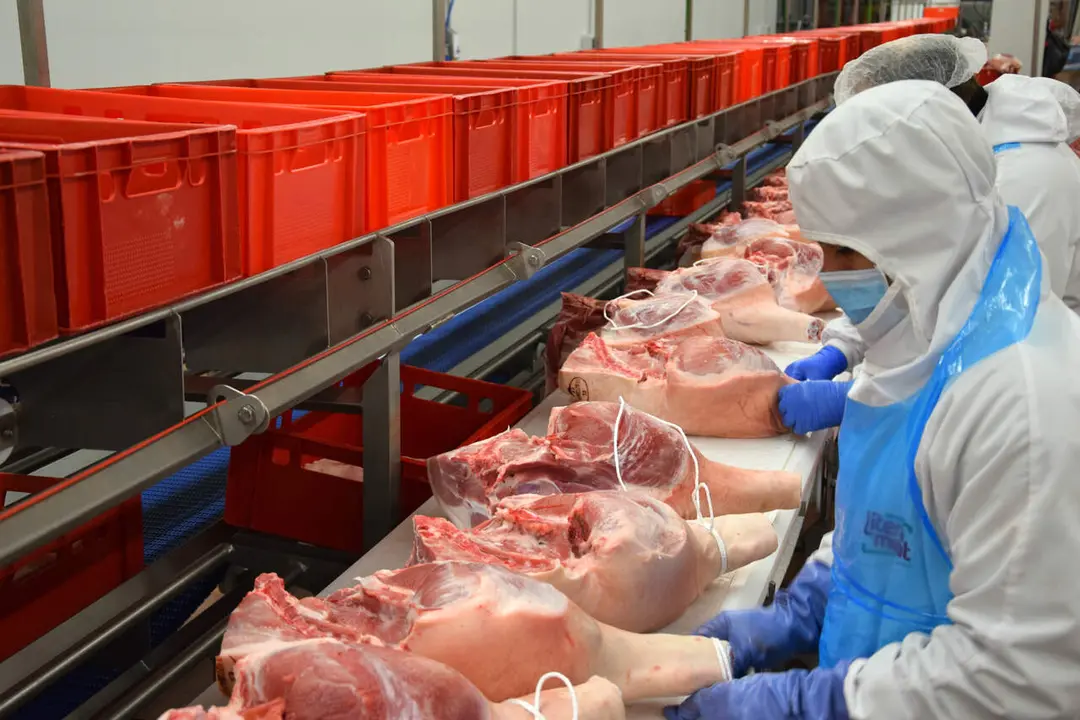 Un trabajador en Litera Meat, una gran empresa del porcino que factura casi 1.000 millones de euros al a&ntilde;o / Litera Meat