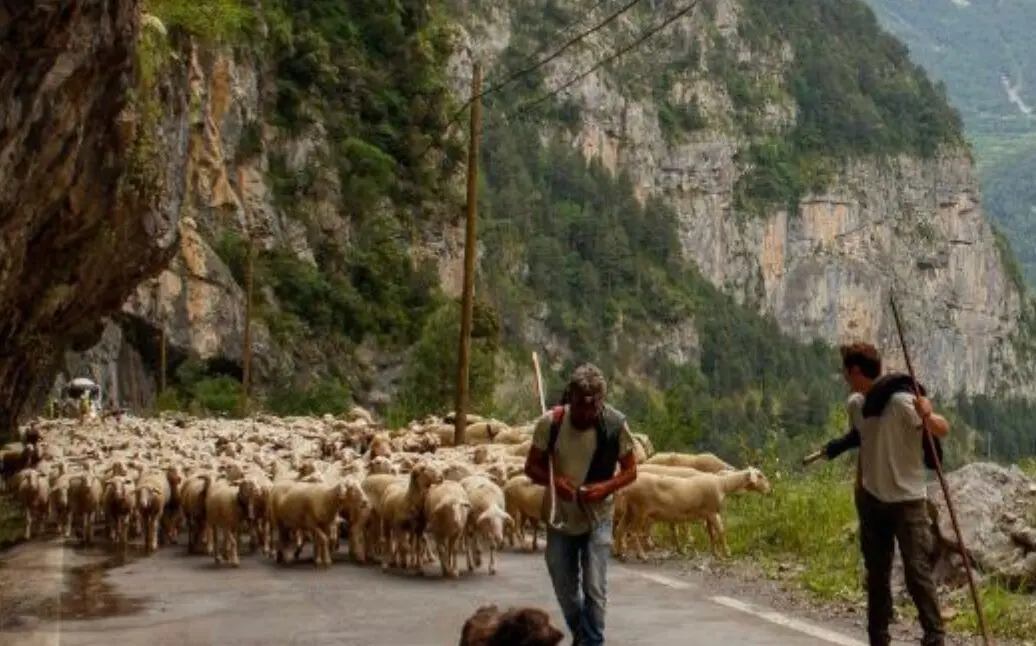 La escuela La Estiva forma a pastores en el Pirineo / La Estiva