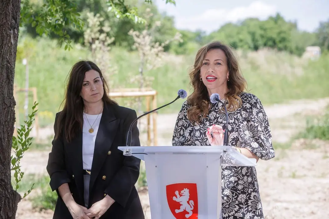 La alcaldesa, Natalia Chueca, en rueda de prensa. /AZ