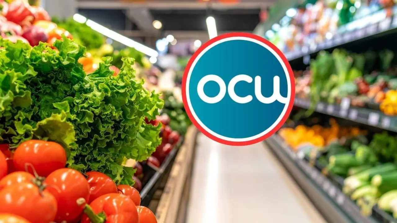 Lidl ni Mercadona: la OCU confirma cu&aacute;l es el hipermercado m&aacute;s barato de Zaragoza para llenar la cesta