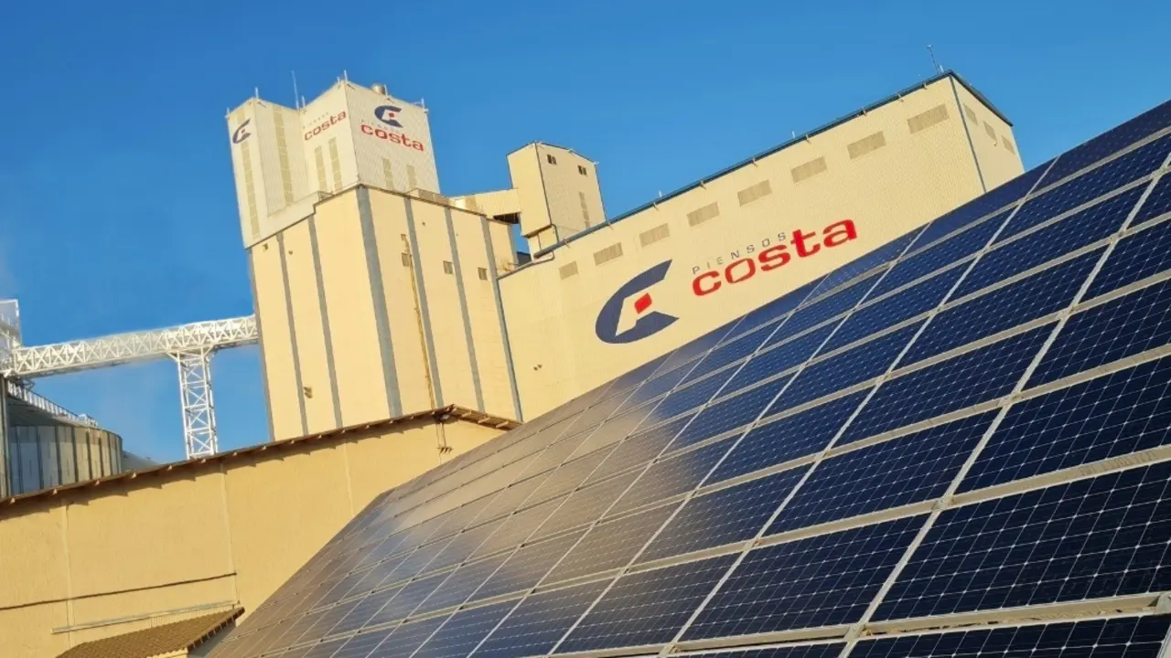 Grupo Costa