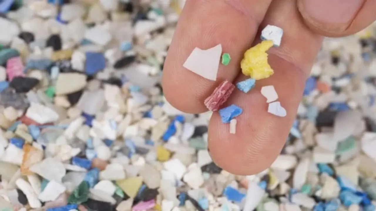 El proyecto internacional contra los micropl&aacute;sticos