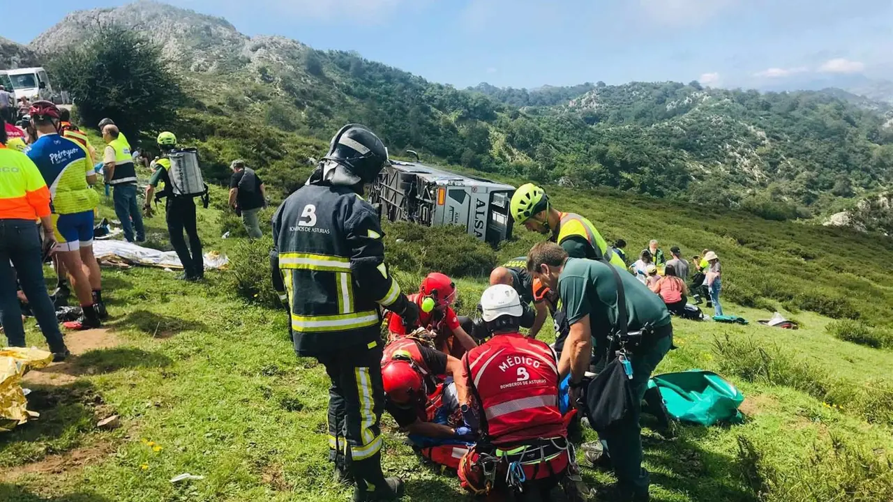 Accidente en la carretera a Lagos de Covadonga / SEPA