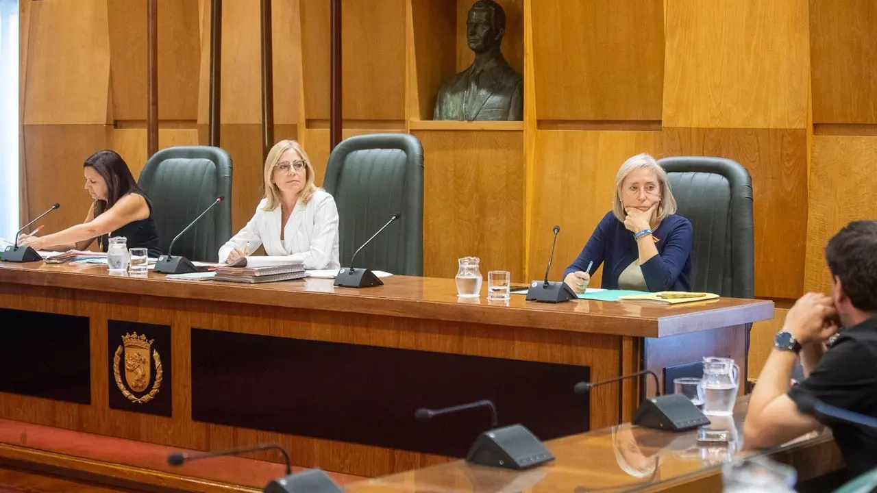 Blanca Solans, en la Comisi&oacute;n de Hacienda / Daniel Marcos