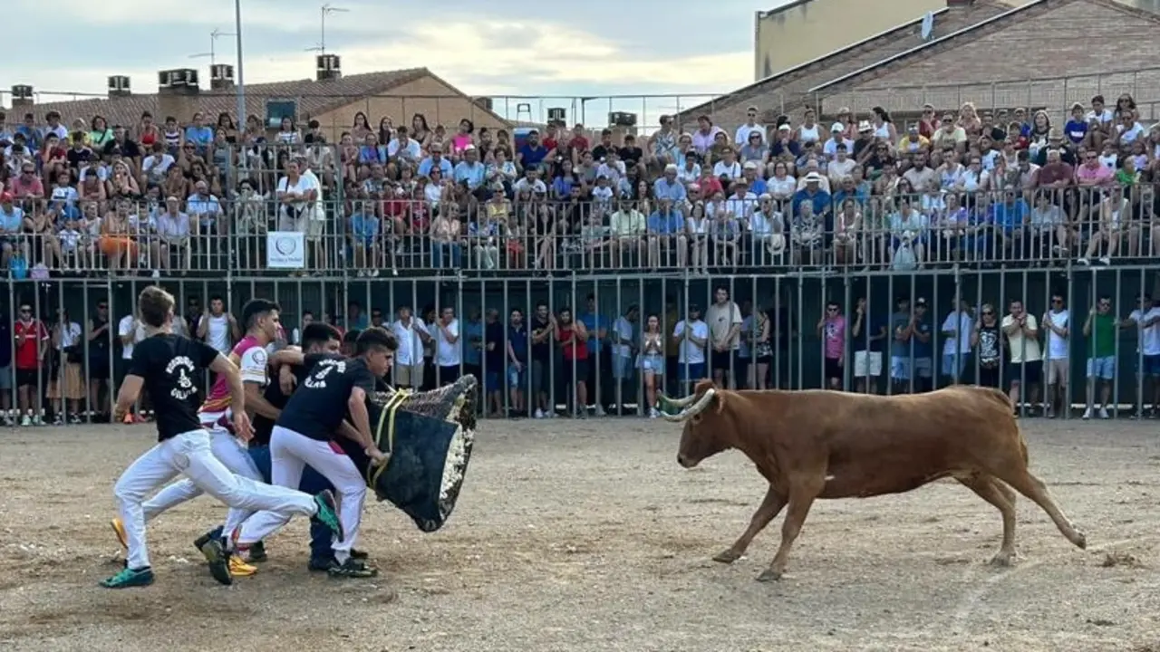 La plaza al estilo valenciano ha sido todo un &eacute;xito / HA