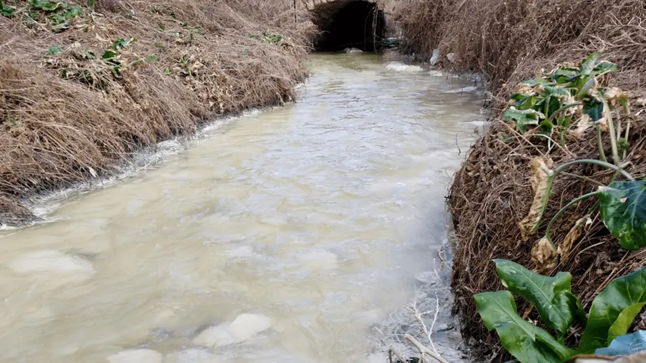 El agua que sale del embalse de El Val, de las m&aacute;s contaminadas de Espa&ntilde;a / Ecologistas en Acci&oacute;n
