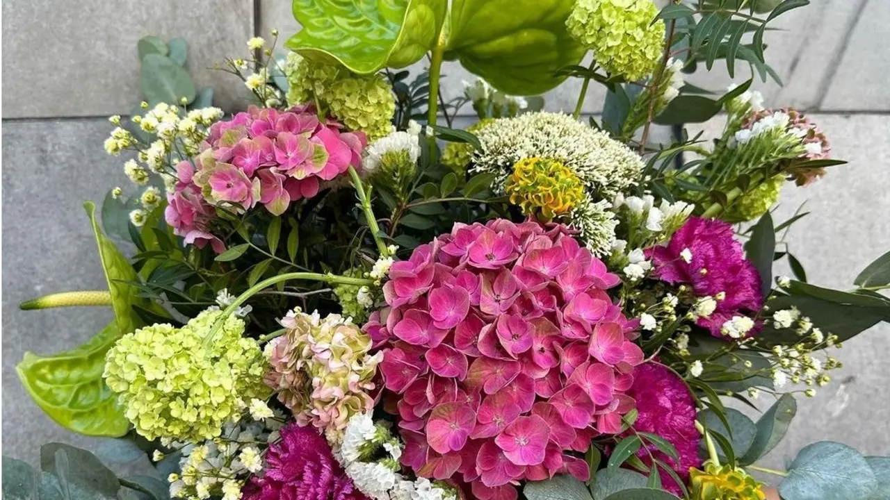 Un ramo de flores para cada ocasi&oacute;n / Enredadas