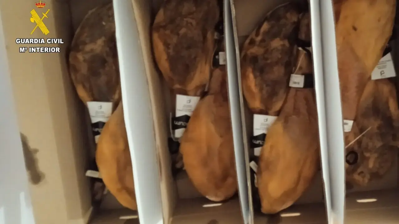 Jamones incautados a un presunto ladr&oacute;n en una empresa de Barbastro /GC