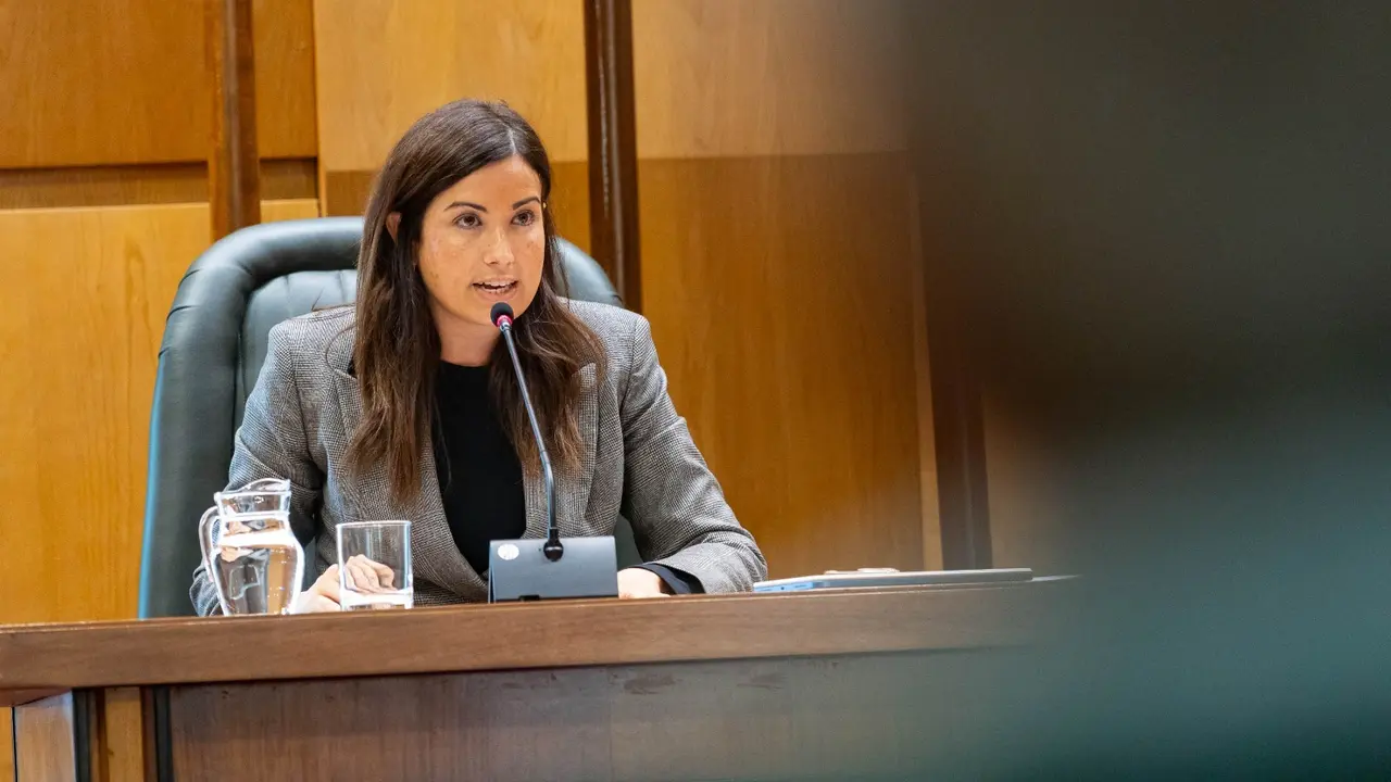 La consejera de Meido Ambiente y Movilidad, Tatiana Gaudes / AZ