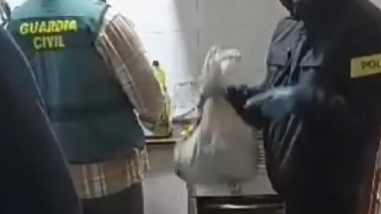 Parte del bot&iacute;n que la polic&iacute;a localiz&oacute; en el piso del l&iacute;der de la banda / G.C,