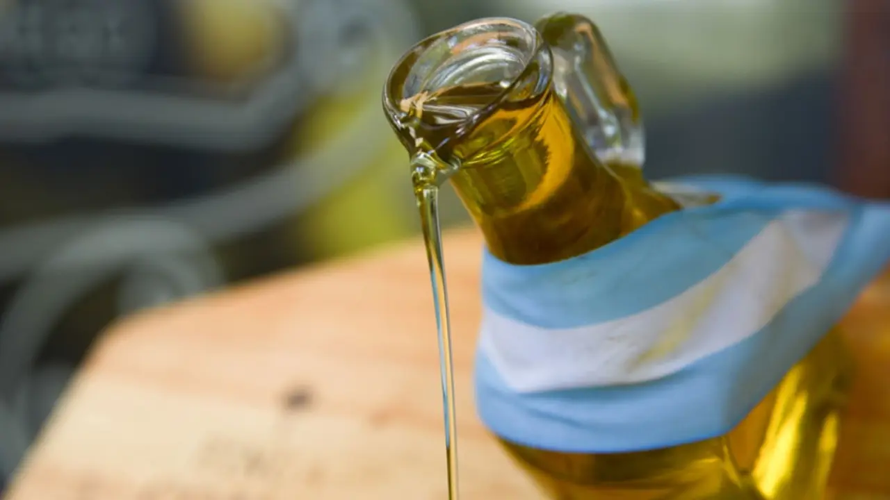 Argentina podr&iacute;a ser uno de los productores de aceite mejor valorados por su calidad