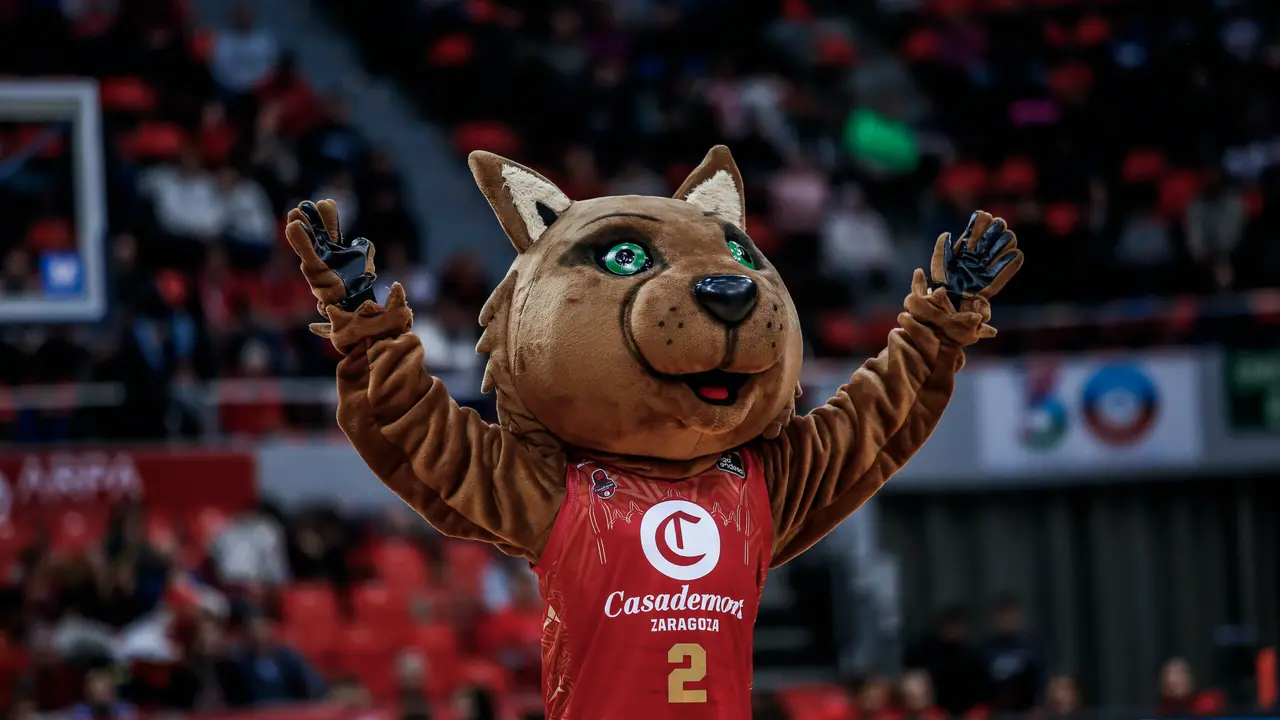 Link, en un partido de Casademont Zaragoza
