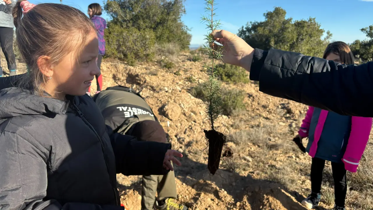 M&aacute;s de cien alumnos de Tarazona han repoblado el monte con especies aut&oacute;ctonas. / Ayuntamiento Tarazona