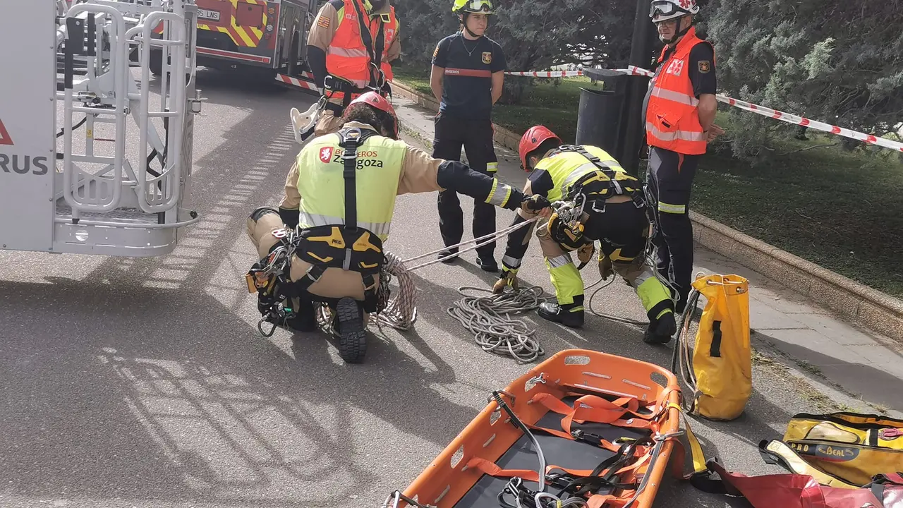 Un rescate que ha llamado la atenci&oacute;n a todos los visitantes del Parque Grande de Zaragoza / AZ