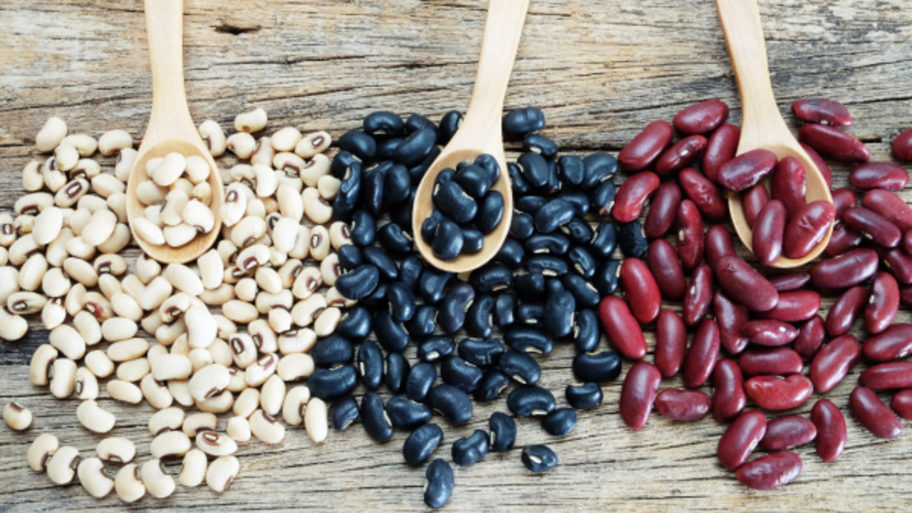 Diferentes variedades de frijoles