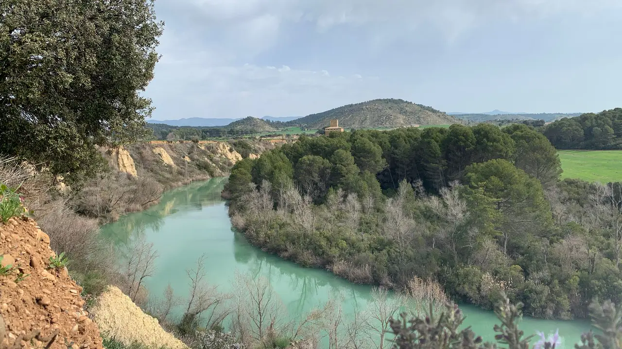 La ruta de Ardisa en las Cinco Villas.