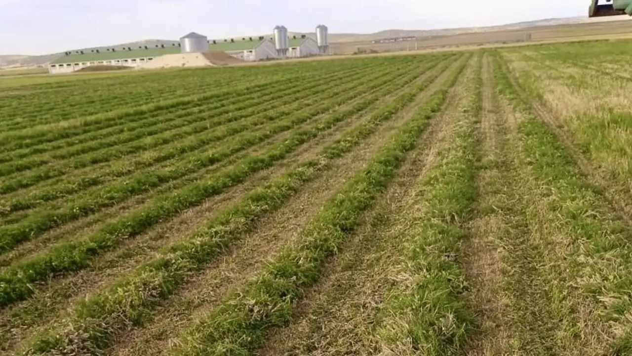 Campo de Arag&oacute;n / DGA