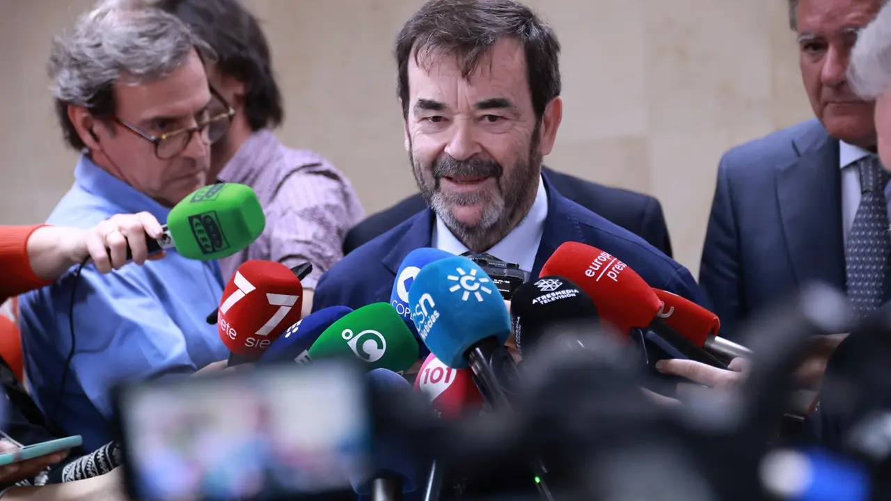 El presidente del Consejo General del Poder Judicial (CGPJ), Vicente Guilarte / R.R.