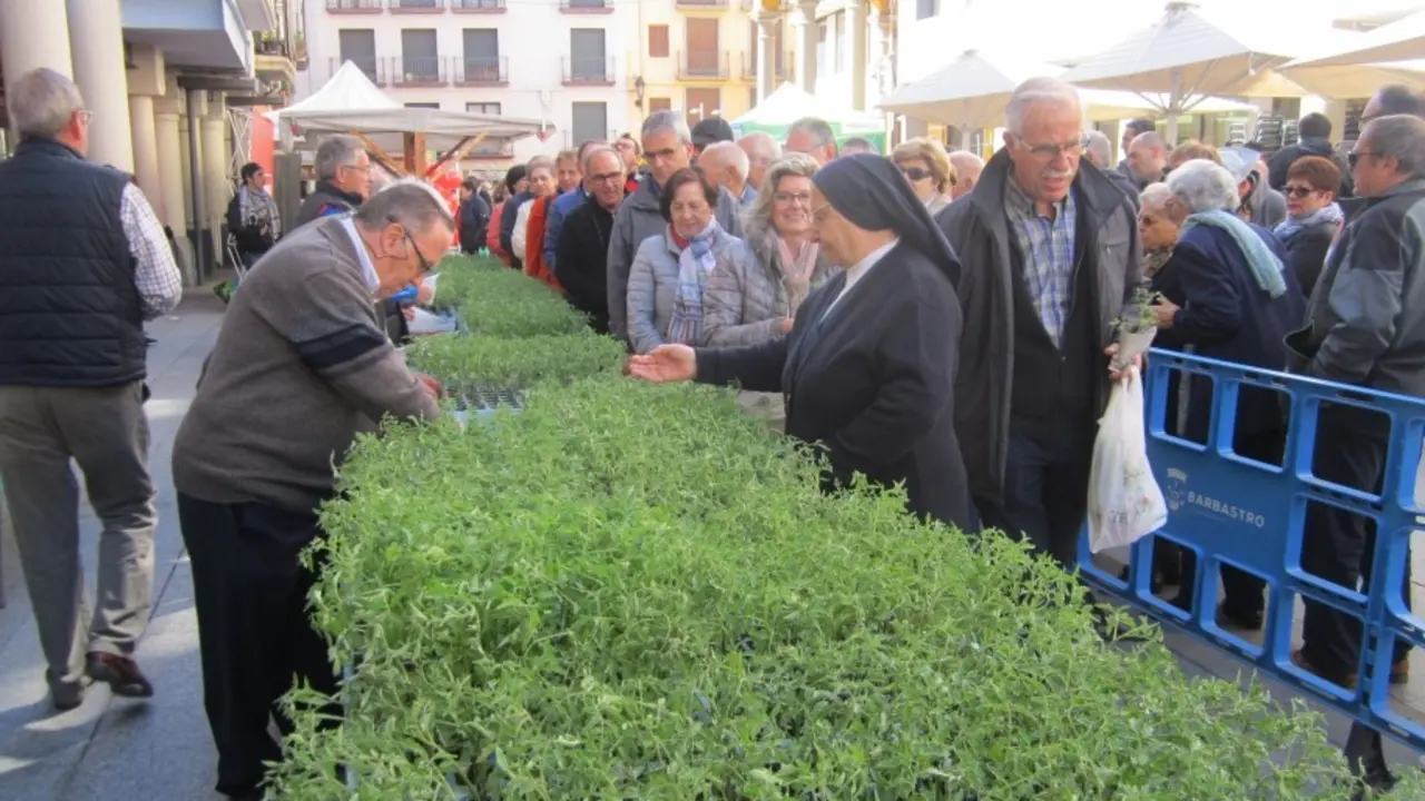 Una edici&oacute;n pasada de la Fiesta del Plantero de Barbastro. 