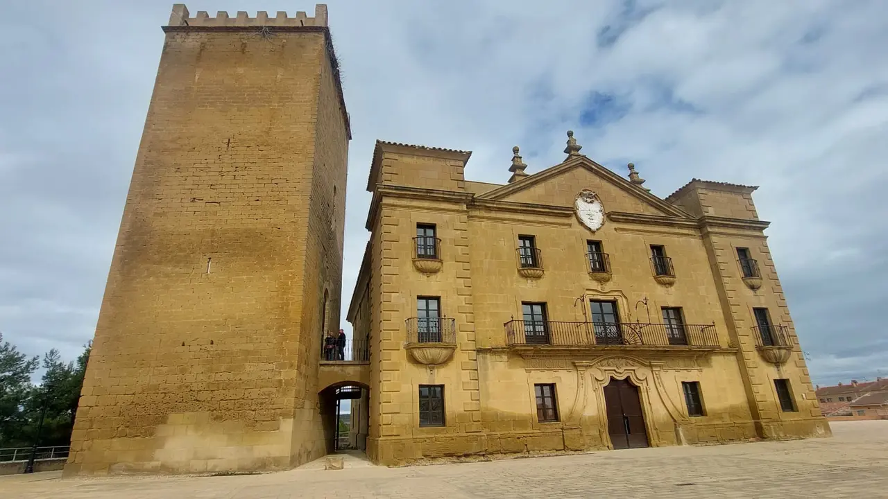 Torre&oacute;n y Palacio del Vizconde de Biota.
