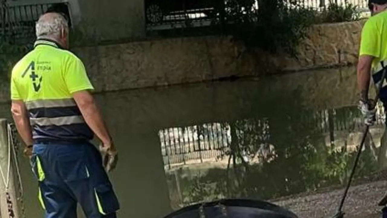 Imagen de los operarios de la limpieza del Ayuntamiento de Zaragoza. /H.A.