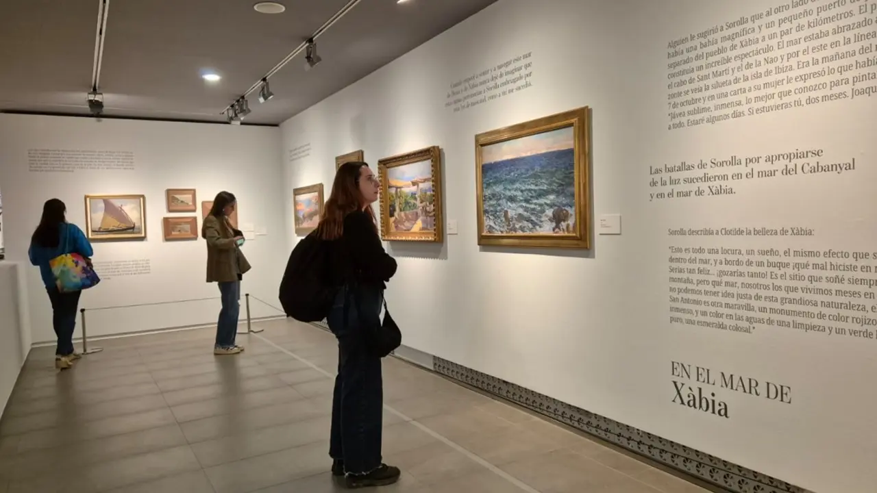 Exposici&oacute;n 'En el mar de Sorolla con Manuel Vicent' en el Museo Goya de Zaragoza. / L. V.